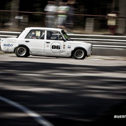 dzintara volga-4941